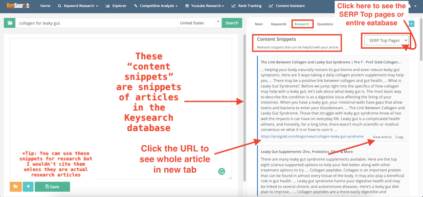 Keysearch Content Assistant Questions Tab with Questions to use and answer in your articles | JK Nutrition Consulting