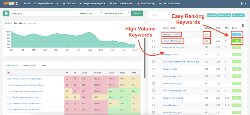 Keysearch filter tool filtered by volume| JK Nutrition Consulting