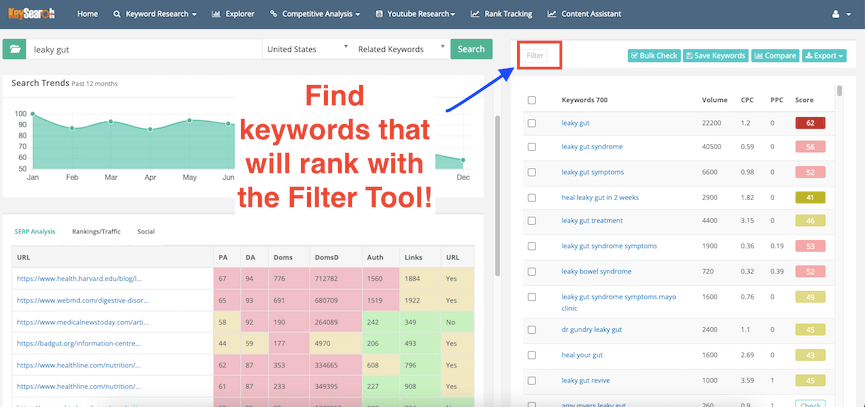 Keyword Research Filter Tool | JK Nutrition Consulting