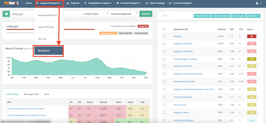 Keysearch Where to Find Brainstorm Page | JK Nutrition Consulting