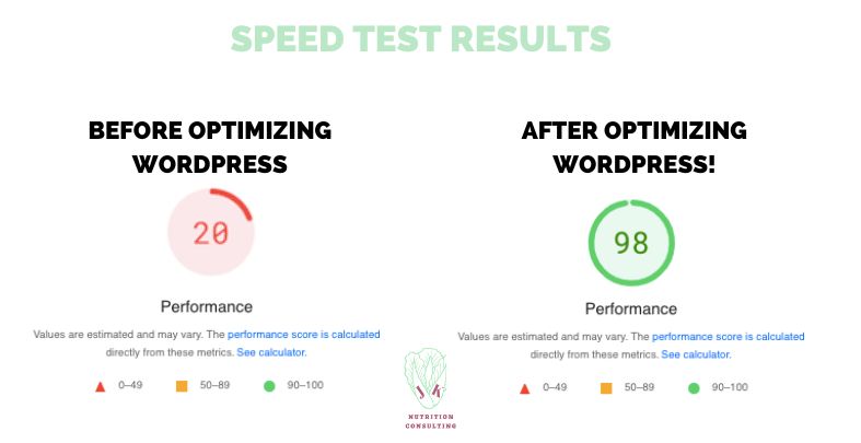 Speet Test Results Before and After Site Speed Audit Score 20 to 98!  |JK Nutrition Consulting
