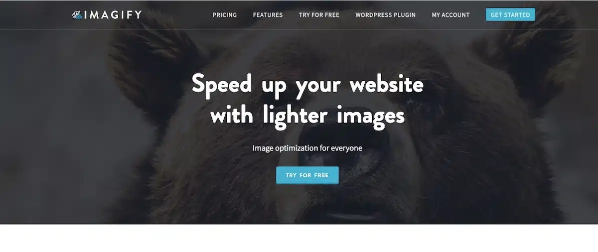 The homepage of Imagify. Has brown bear with the words "Speed Up Your Website with Lighter Images. Image optimization for everyone. Try it for free." | How to compress images on WordPress | JK Nutrition Consulting