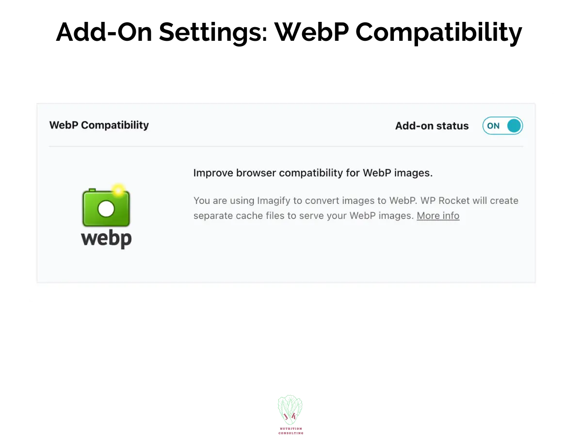 Add-on settings WebP compatibility | WP Rocket Review | JK Nutrition Consulting