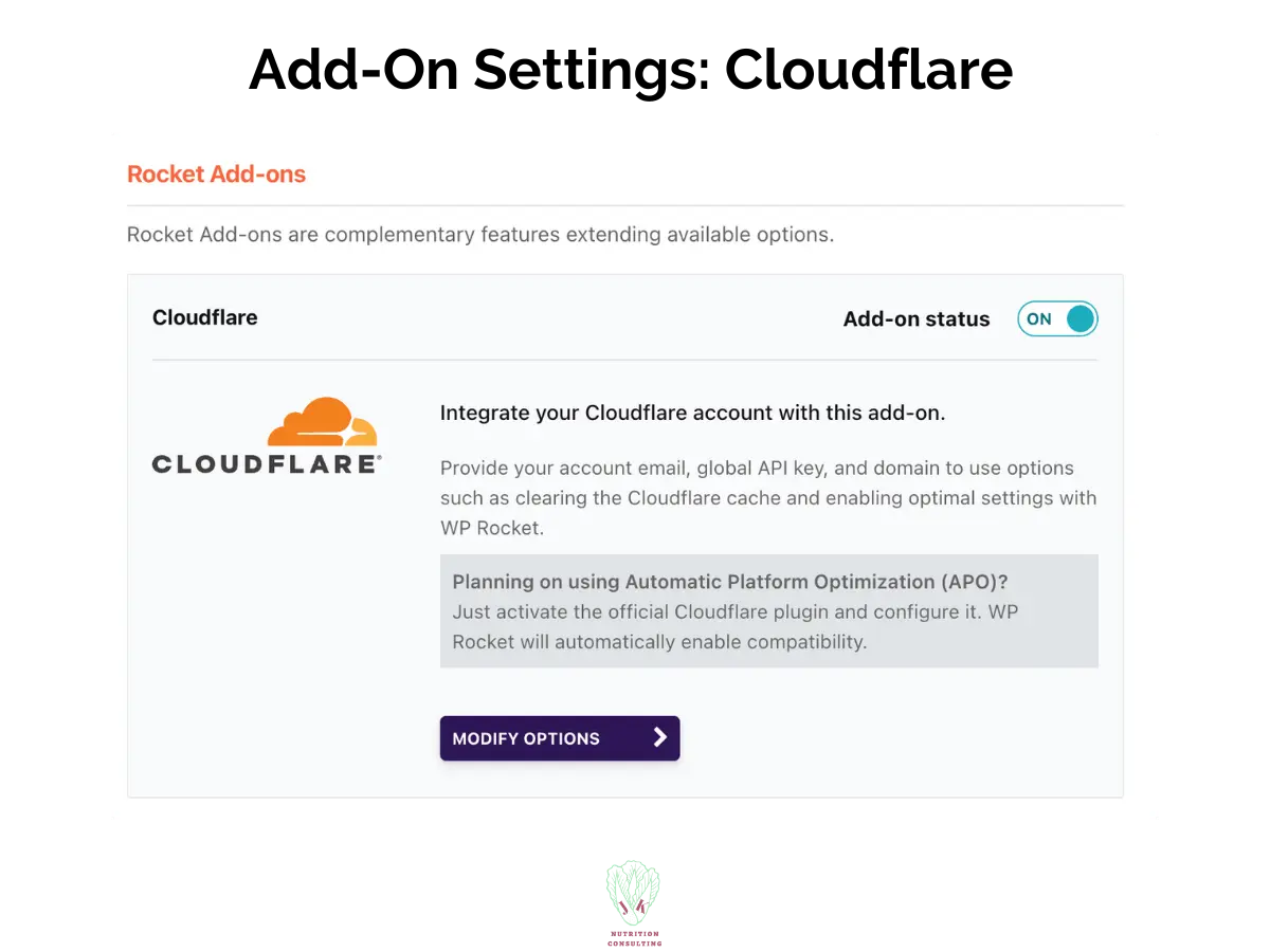 Add-on settings: cloudflare | WP Rocket Review | JK Nutrition Consulting