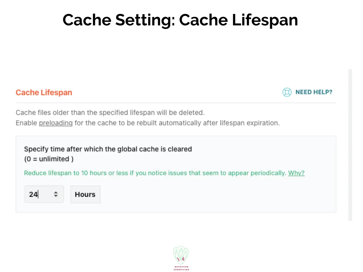 Cache Photo 3 of 3 setting Cache Lifespan | WP Rocket Review | JK Nutrition Consulting