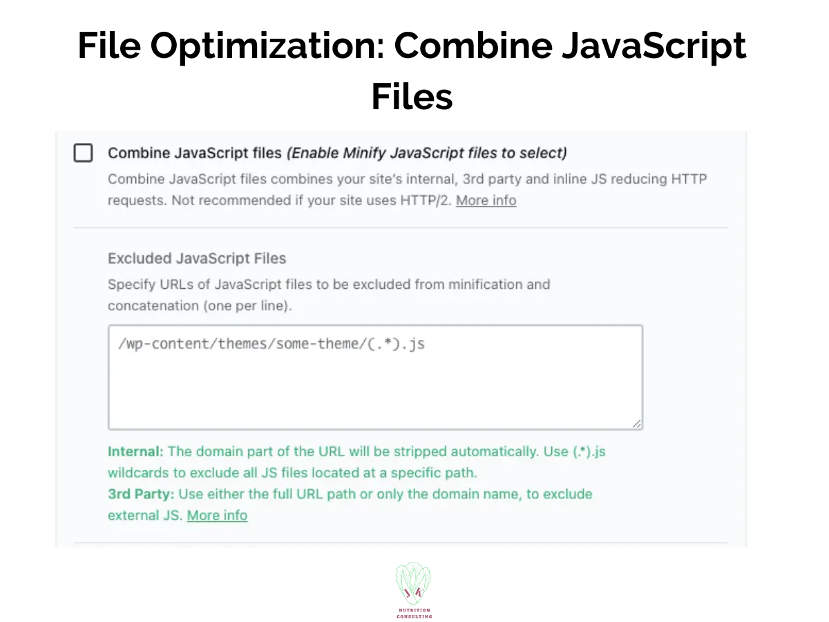 File optimization showing combine the JavaScript Files | WP Rocket Review | JK Nutrition Consulting