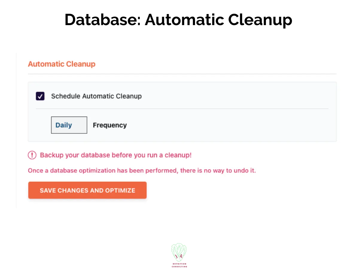 Database clean up: Automatic Clean up 5 of 6 | WP Rocket Review | JK Nutrition Consulting