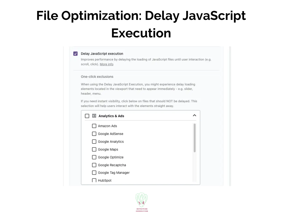 File optimization: delay javascript execution | WP Rocket Review | JK Nutrition Consulting