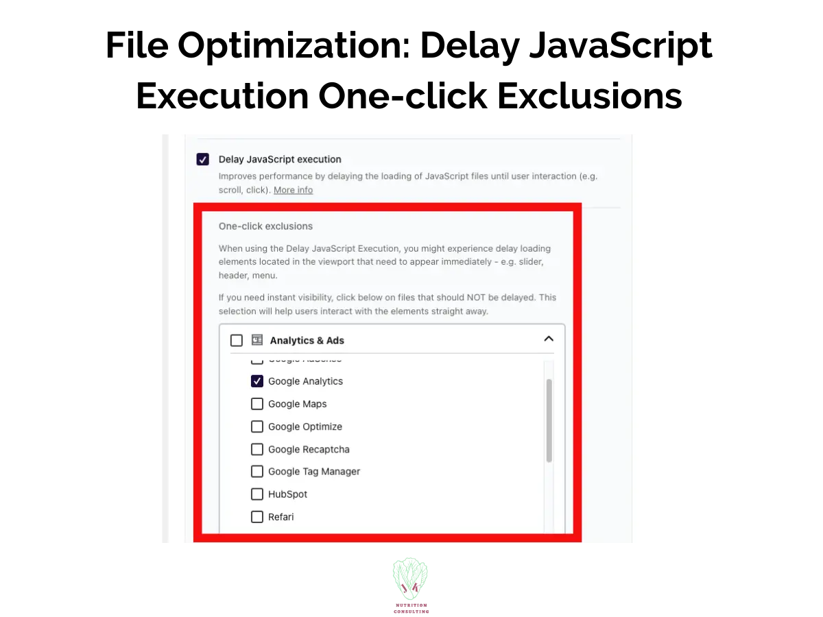 File optimizaiton: Delay JavaScript Execution One-Click exlcusions showing Google Analytics | WP Rocket Review | JK Nutrition Consulting