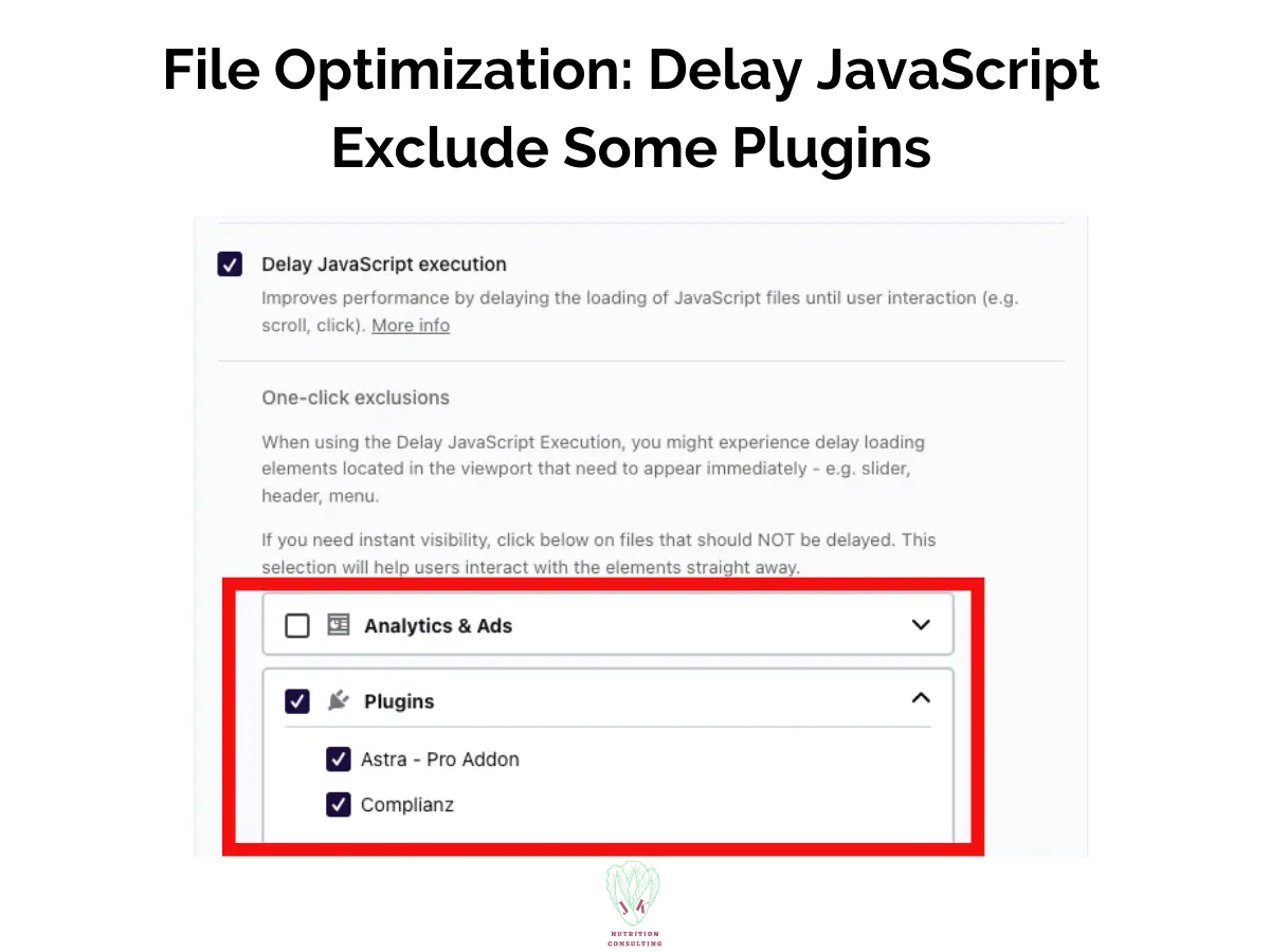 File Optimization: Delay JavaScript Exclude Some Plugins | WP Rocket Review | JK Nutrition Consulting