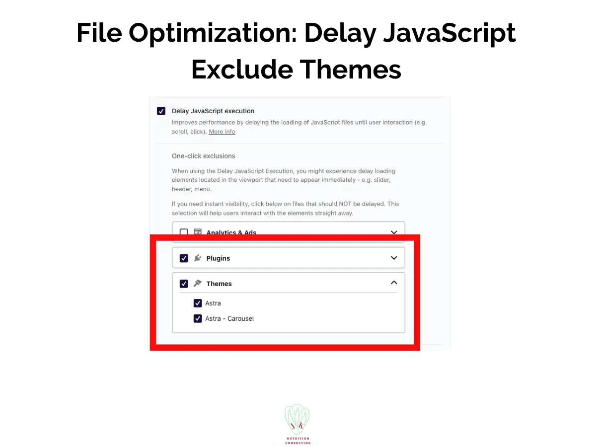 File Optimization: Delay JavaScript Exclude Website Themes | WP Rocket Review | JK Nutrition Consulting