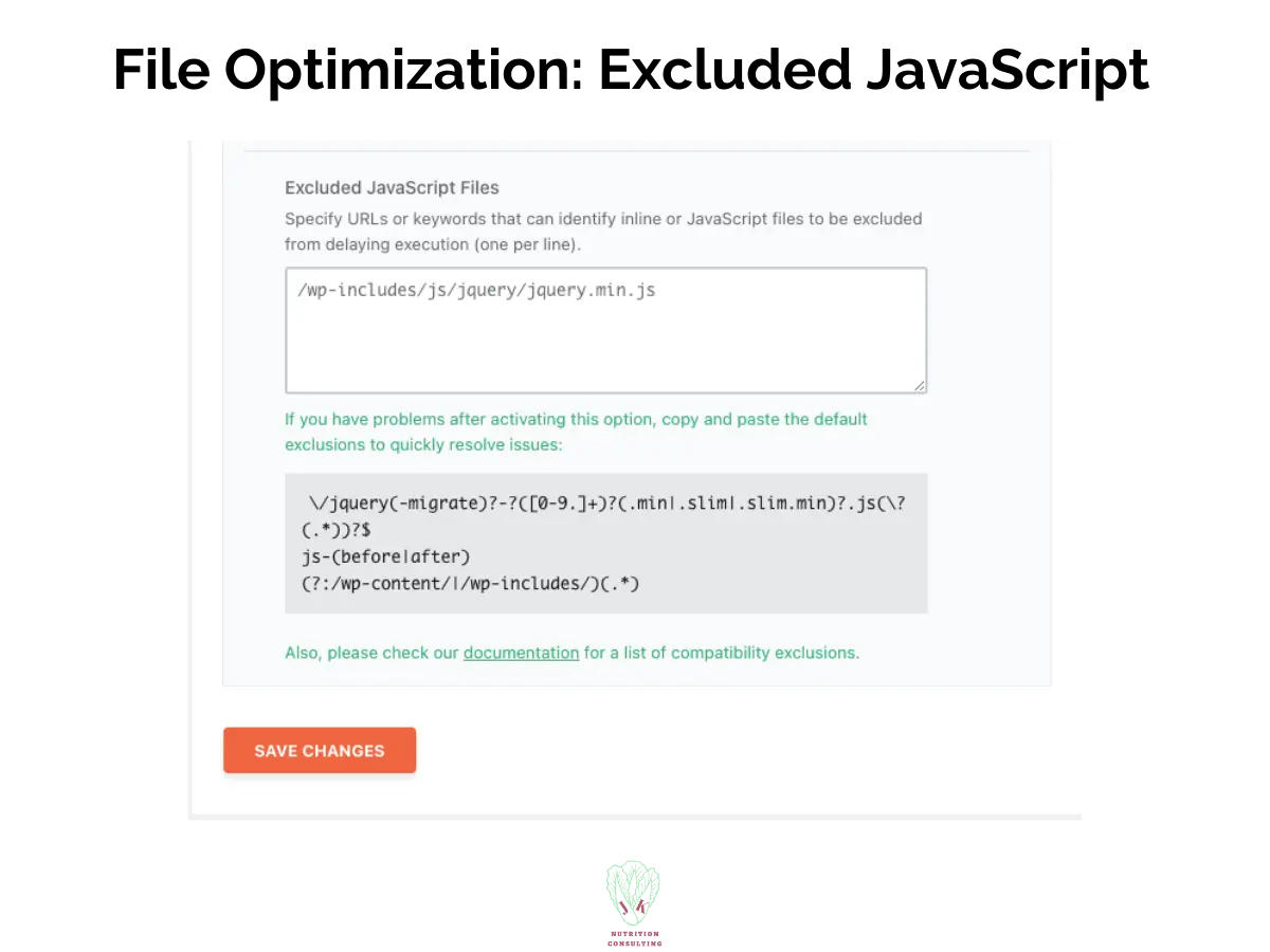 Delay JavaScript Execution File Optimizaiton | WP Rocket Review | JK Nutrition Consulting