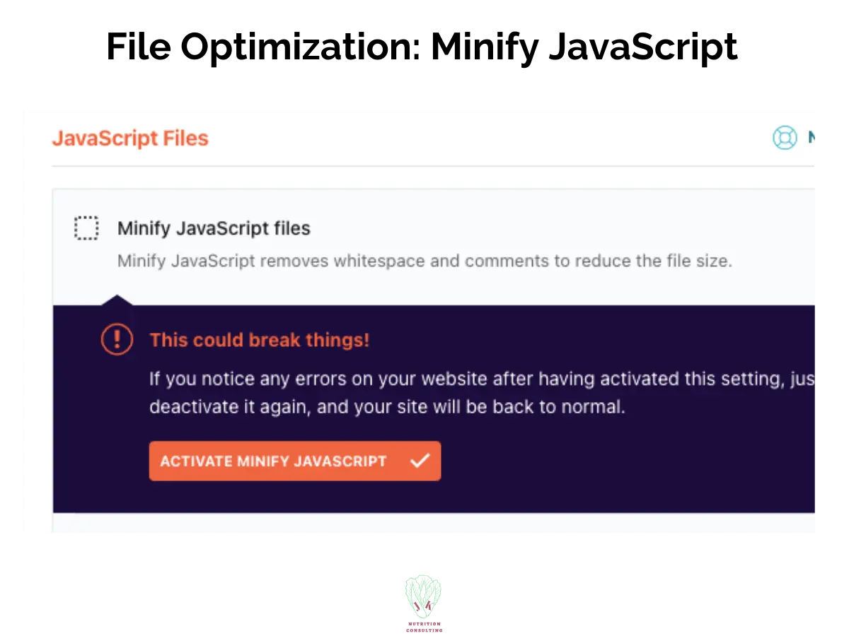 File Optimization Minify JavaScript showing the warning this could break your site | WP Rocket Review | JK Nutrition Consulting