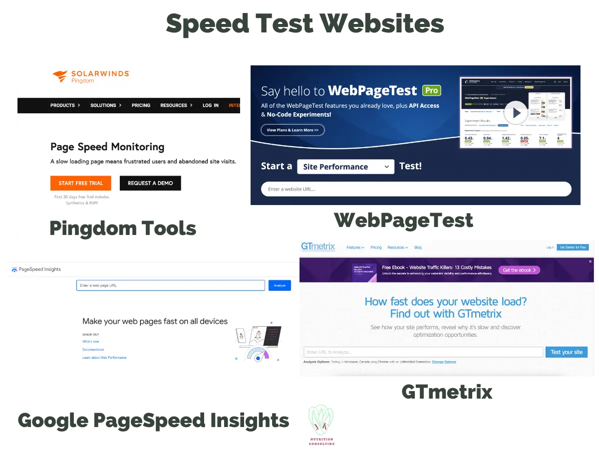 Speed Test Websites Pingdom Tools, WebPage Test, Google PageSpeed Insights and GTMetrix | WP Rocket Review | JK Nutrition Consulting